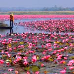 48374201_2899506246742215_5480428091316633600_n